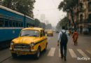 Kolkata Survival Guide