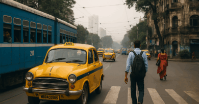 Kolkata Survival Guide